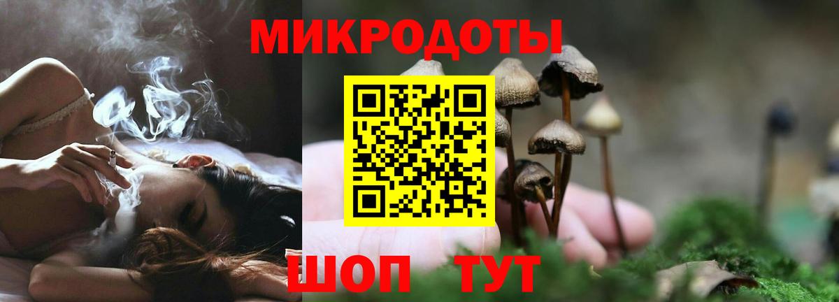 Сергиев Посад  Галлюциногенные грибы GOLDEN TEACHER  Вход с VPN  Галлюциногенные грибы MAGIC MUSHROOMS 